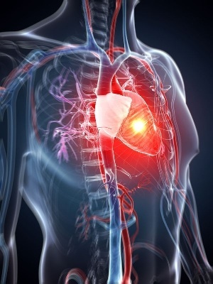 Slecht schakelend zenuwstelsel mogelijke oorzaak hart- en vaatziekten en diabetes